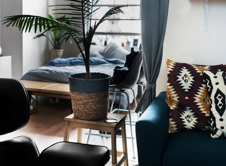A cozy living space featuring a blue sofa with patterned pillows, a potted plant, and a bed in the background.