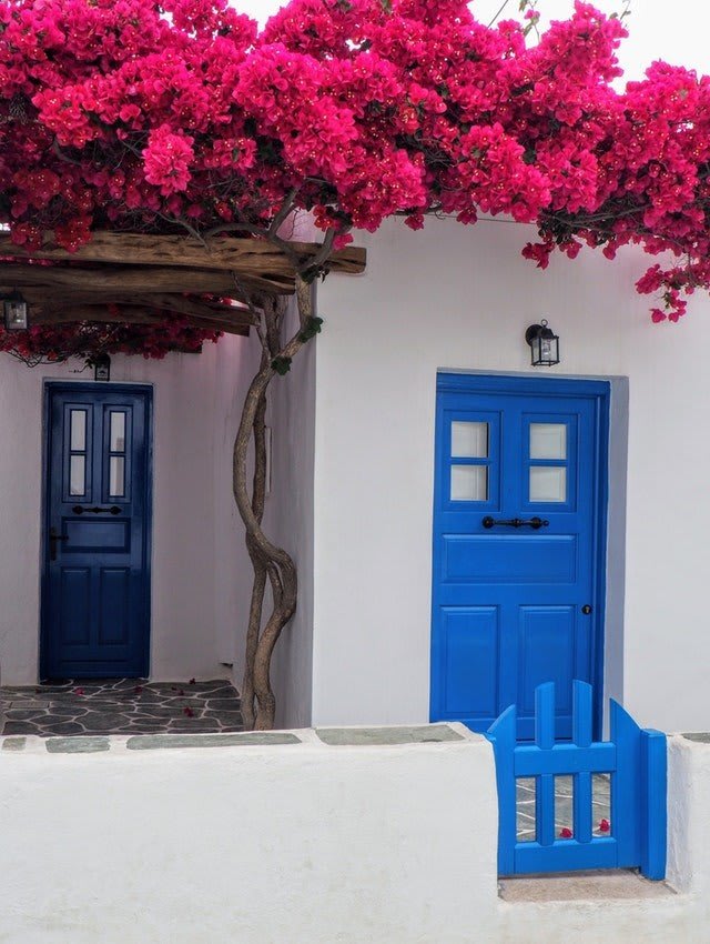 Door-With-Pink-Flower